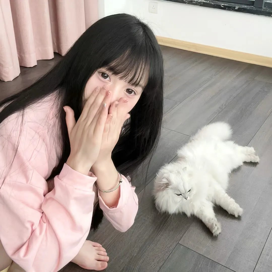 舰队收藏