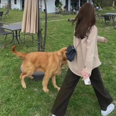 变羊记